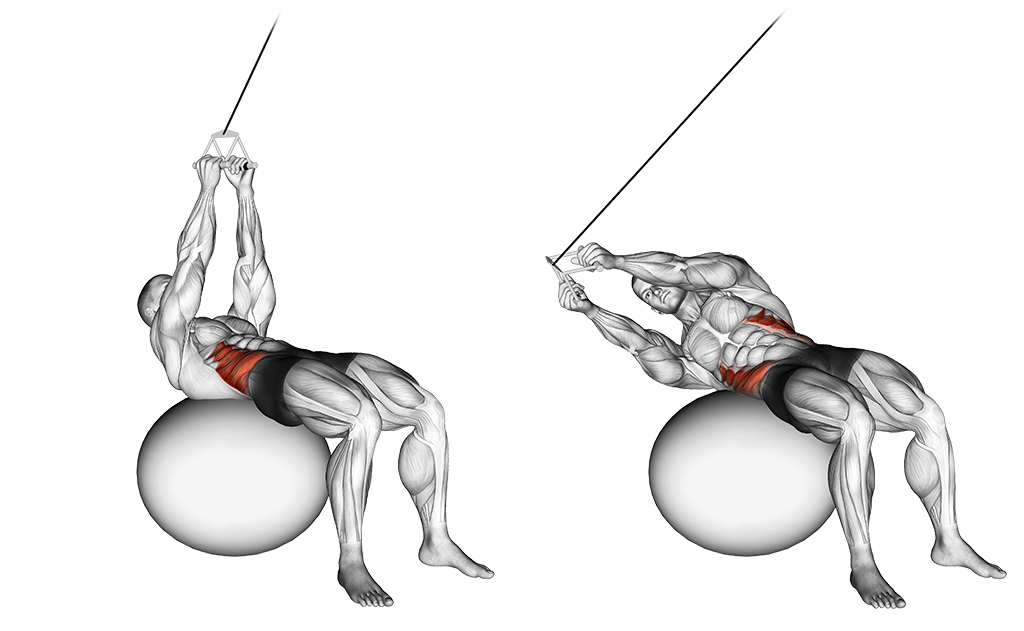 Exercice Russian Twists avec câble Exercice Russian Twists avec câble