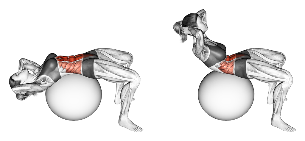 Abdo Crunch sur swissball Abdo Crunch sur swissball