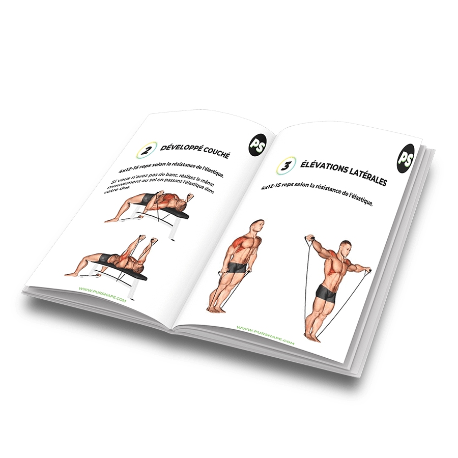 Elastique musculation les meilleurs exercices– theshapebox