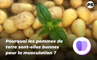 Pourquoi les pommes de terre sont-elles bonnes pour la musculation ?